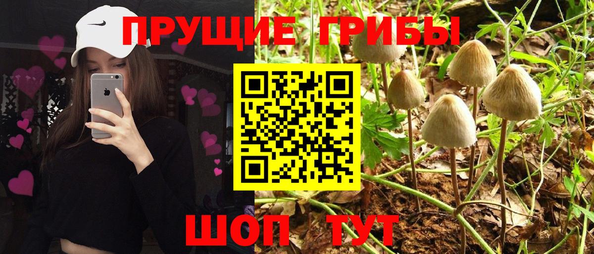 Галлюциногенные грибы прущие грибы Невинномысск